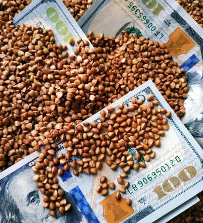 buckwheat-4351354_1280 buckwheat-4351354_1280